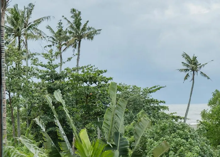 Ocean Palm Estate - Pererenan, Bali チャングー