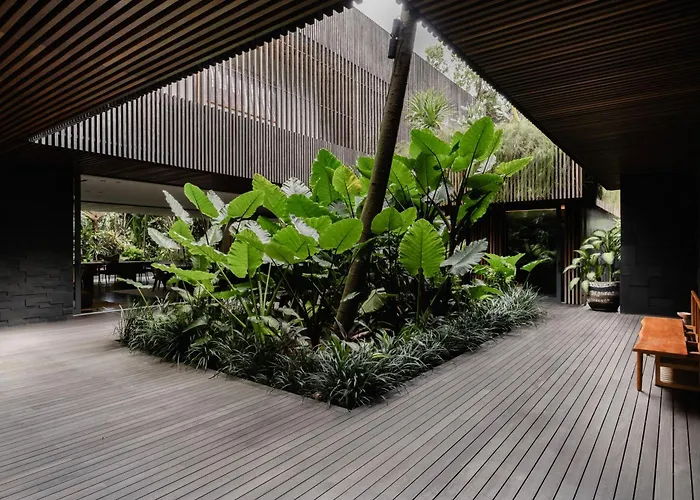 Ocean Palm Estate - Pererenan, Bali ヴィラ *